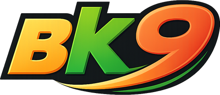 bk9 লোগো